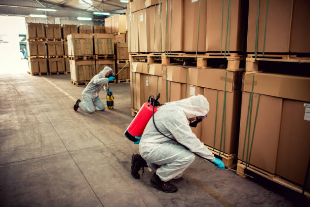 Best Pest Control Near Me  in Florence, AL