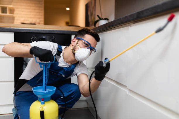 Best Affordable Pest Control Services  in Florence, AL