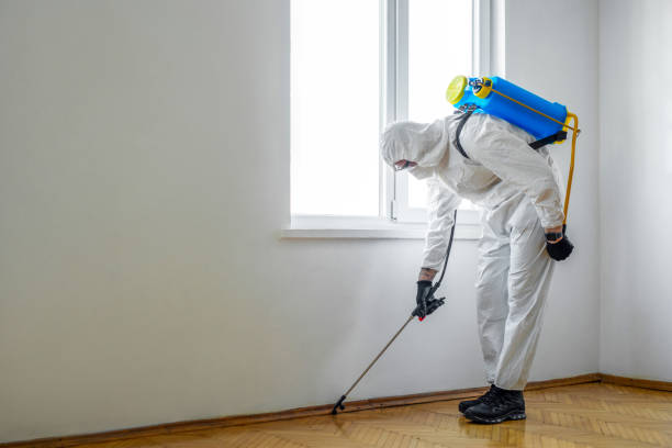 Best Best Pest Control Companies  in Florence, AL