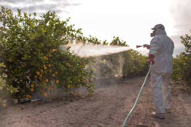 Best Residential Pest Control  in Florence, AL