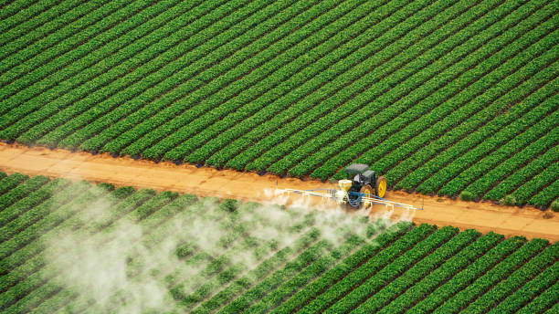 Best Residential Pest Control  in Florence, AL