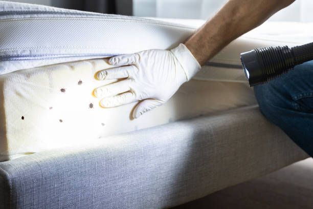 Best Pest Prevention Services  in Florence, AL