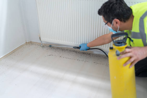Best Ant Control Services  in Florence, AL