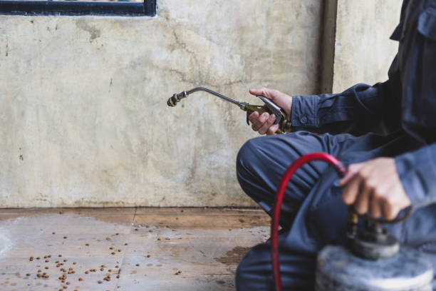 Best Termite Control Services  in Florence, AL