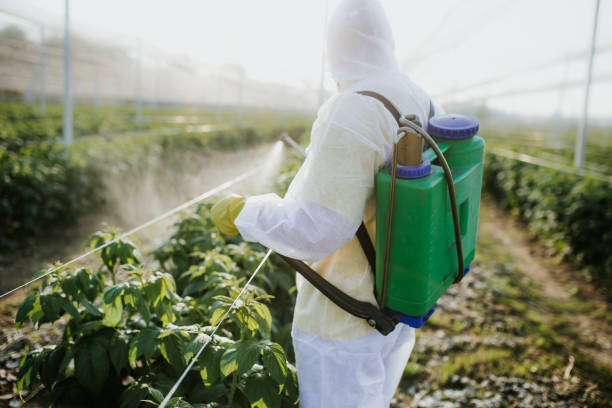 Best Pest Prevention Services  in Florence, AL